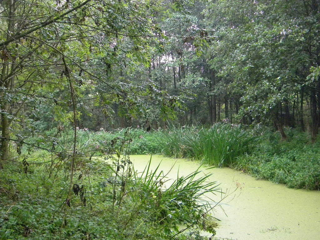 Petrus Wittebrood Hoeve Dikkelvenne 外观 照片